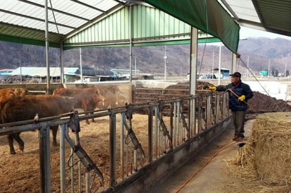 강원도 축산농가 가축분뇨 자원화 축산업 육성 위해 99억 원 지원