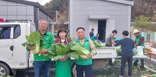 홍천군 새마을회(회장 이강권)는 9일 오전 10시 북방면 소재 농가 비닐하우스에서 '2023년도 사랑의 김장 배추 전달식' 행사를 개최했다.